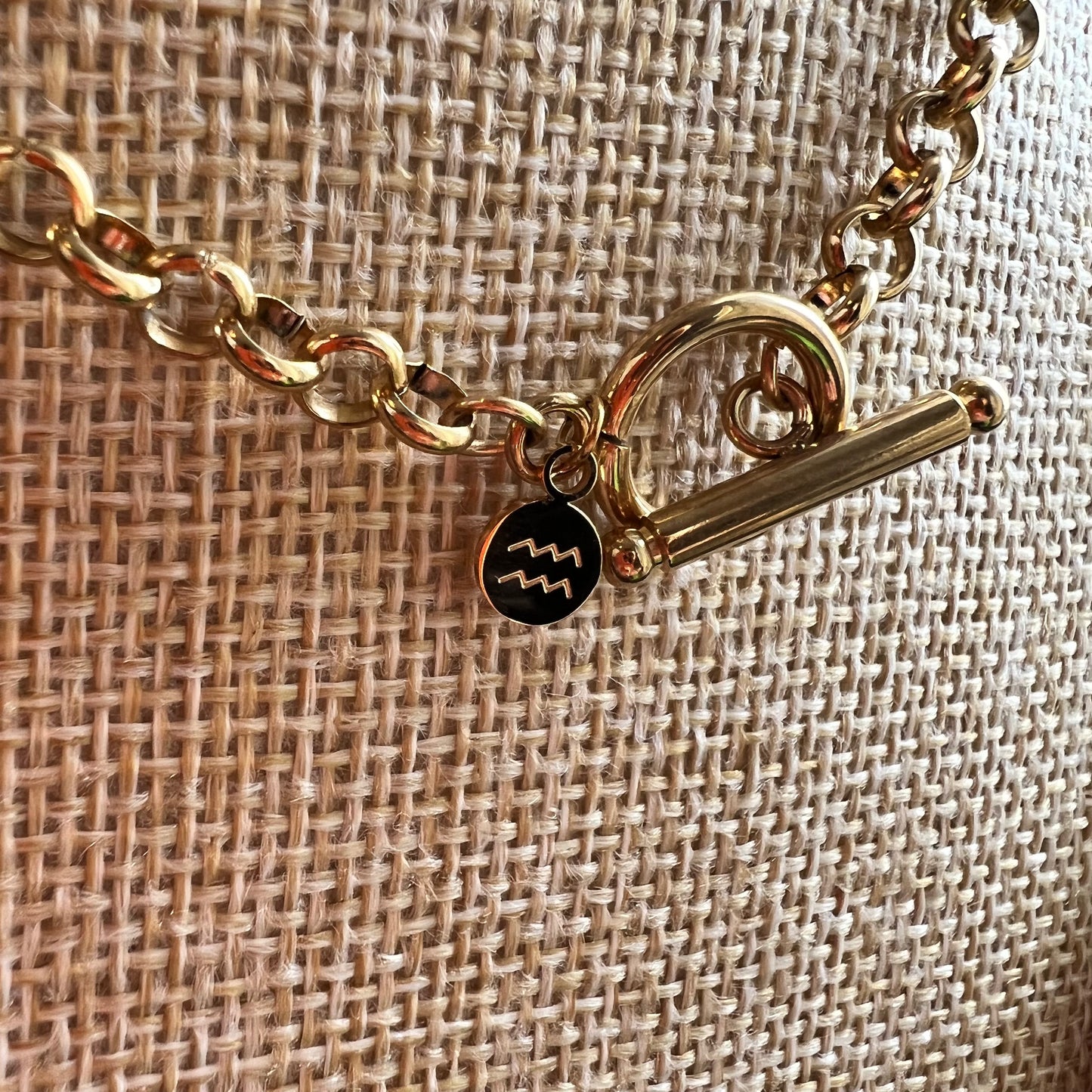 Aquarius Charm