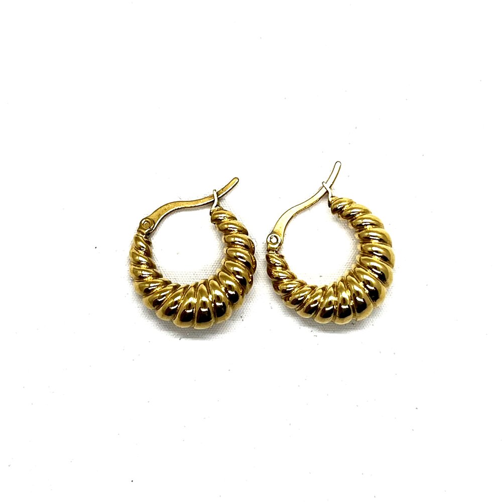 Crescent Hoop Earrings